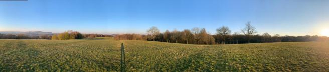 WhatsApp Image 2020-03-26 at 18.38.19